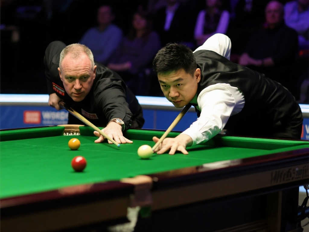 答案将在下 答案将在下